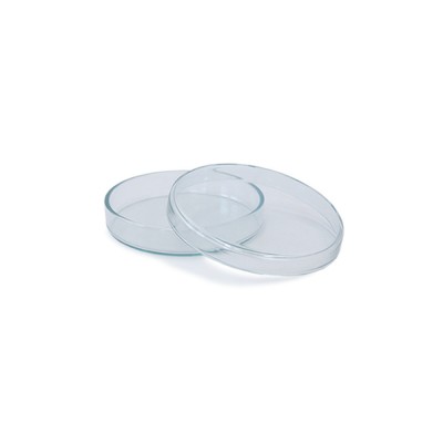 Petrischale aus Glas 60x15mm