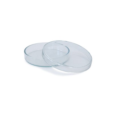 Petrischale aus Glas 70x15mm